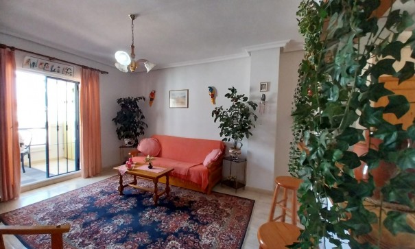 Sale - Apartment Flat -
La Mata