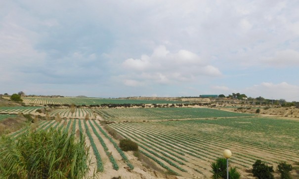 Sale - Detached Villa -
San Miguel de Salinas - San Miguel Salinas