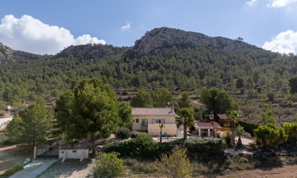 Venta - Villa independiente -
La Zarza