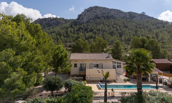 Venta - Villa independiente -
La Zarza