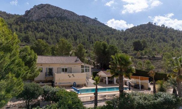 Venta - Villa independiente -
La Zarza
