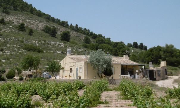 Revente - Finca Propriété rurale -
Yecla