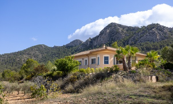 Venta - Villa independiente -
La Zarza - La Zarza Murcia