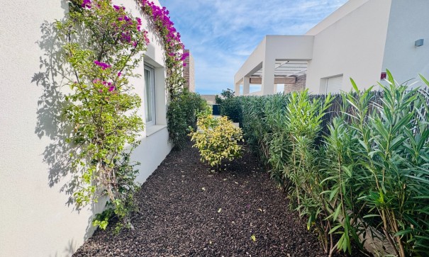 Venta - Chalet Independiente -
Algorfa