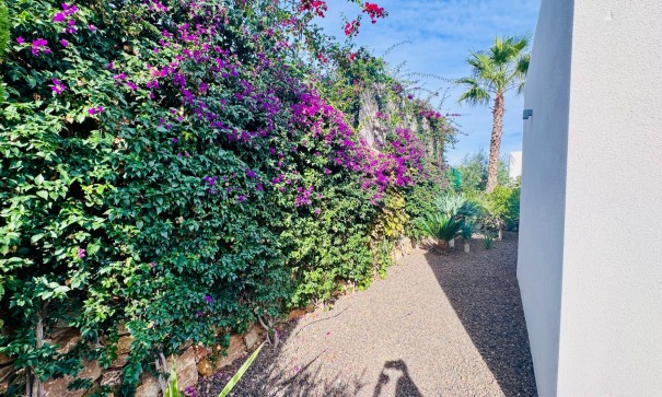 Venta - Chalet Independiente -
Algorfa