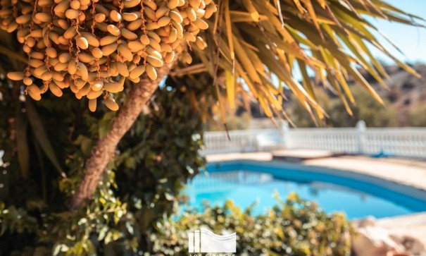 Sprzedaż - Finca nieruchomość wiejska -
Murcia