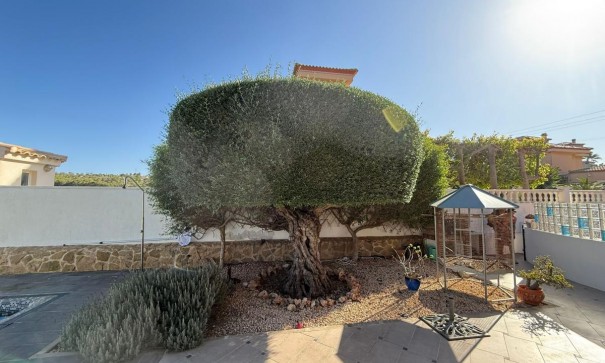 Revente - Villa Individuelle -
San Miguel de Salinas