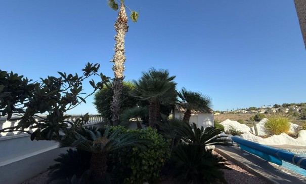 Revente - Villa Individuelle -
San Miguel de Salinas