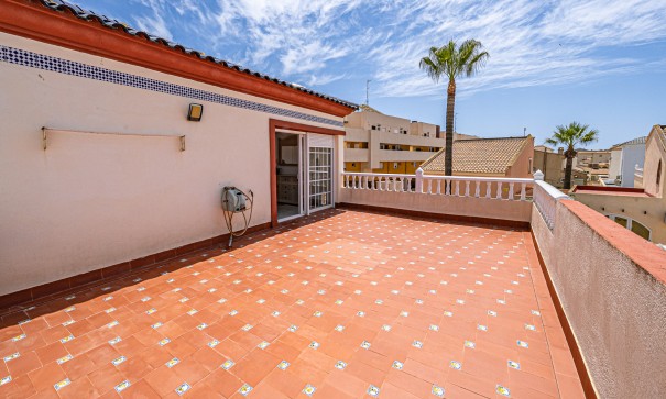 Venta - Chalet Independiente -
Playa Flamenca - Montilla