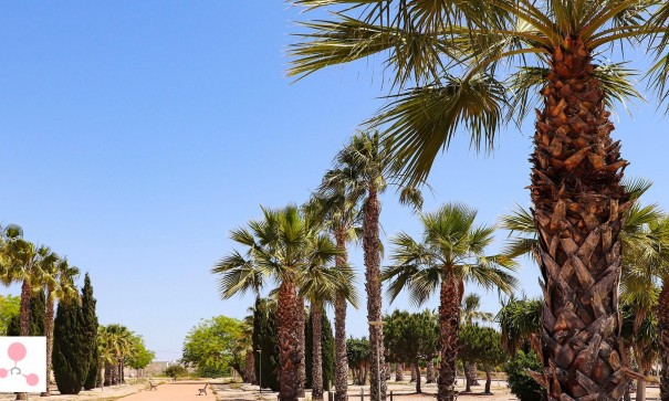 New Build - Detached Villa -
San Fulgencio - La Escuera