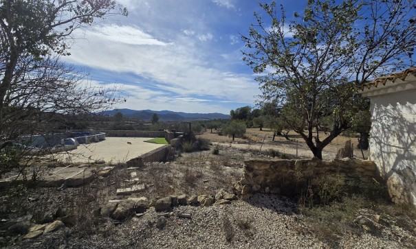 Sprzedaż - Finca nieruchomość wiejska -
Monóvar