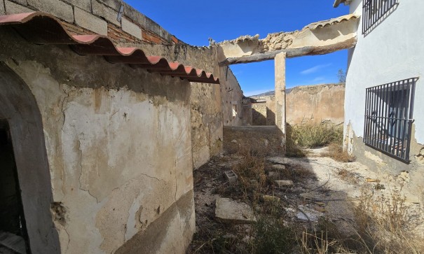 Sprzedaż - Finca nieruchomość wiejska -
Monóvar