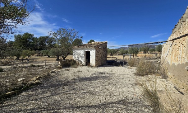 Sprzedaż - Finca nieruchomość wiejska -
Monóvar