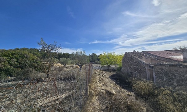 Sprzedaż - Finca nieruchomość wiejska -
Monóvar