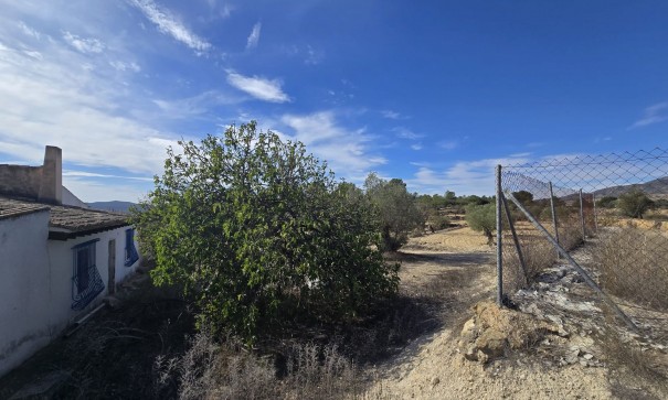 Sprzedaż - Finca nieruchomość wiejska -
Monóvar