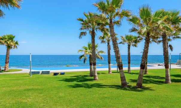 Revente - Appartement -
Torrevieja - Punta Prima