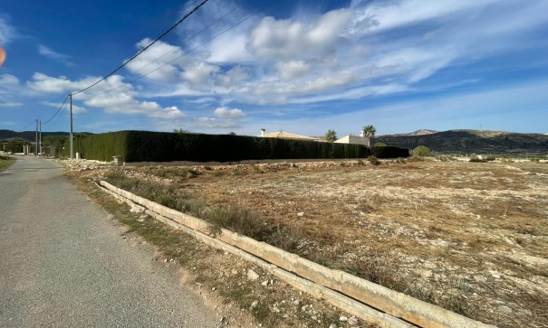 Sale - Finca Country Property -
Abanilla