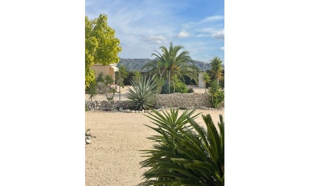 Sale - Finca Country Property -
Abanilla