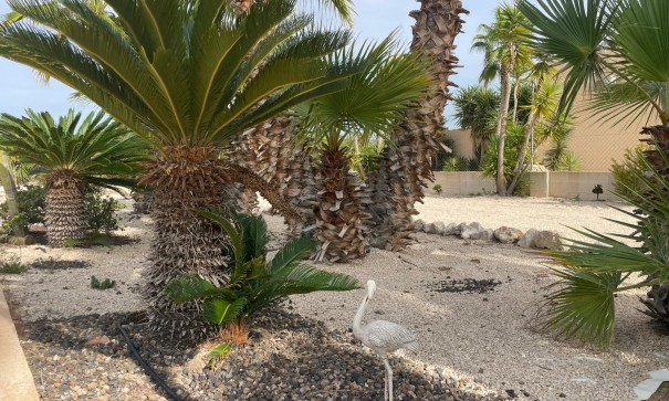 Sale - Finca Country Property -
Abanilla