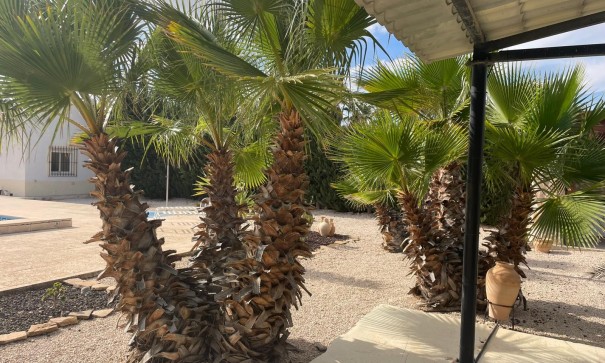 Sale - Finca Country Property -
Abanilla