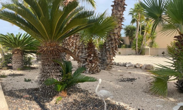 Sale - Finca Country Property -
Abanilla