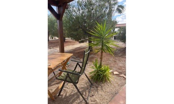 Sale - Finca Country Property -
Abanilla