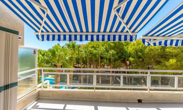 Venta - Apartamento piso -
Orihuela Costa - Altos de Campoamor