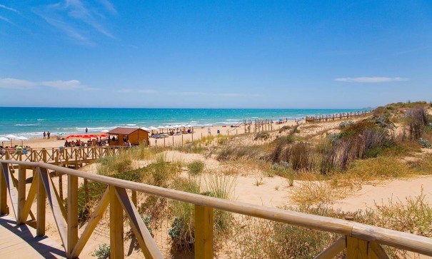 Obra Nueva - Apartamento piso -
Guardamar del Segura - Pueblo