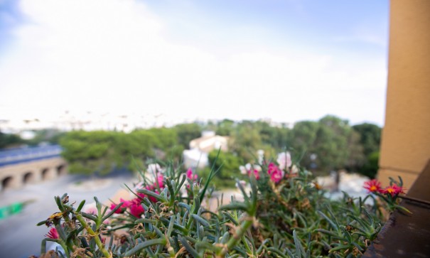 Resale - Wohnung Appartement -
La Zenia - Beachside