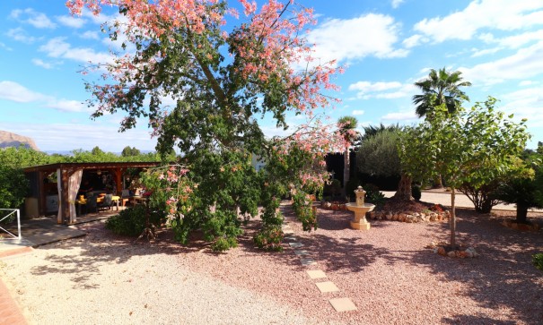 Herverkoop - Finca Landelijk pand -
Orihuela - La Campaneta