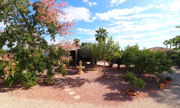 Herverkoop - Finca Landelijk pand -
Orihuela - La Campaneta