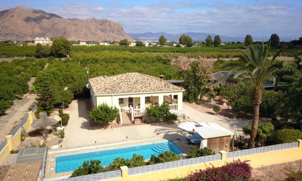 Herverkoop - Finca Landelijk pand -
Orihuela - La Campaneta