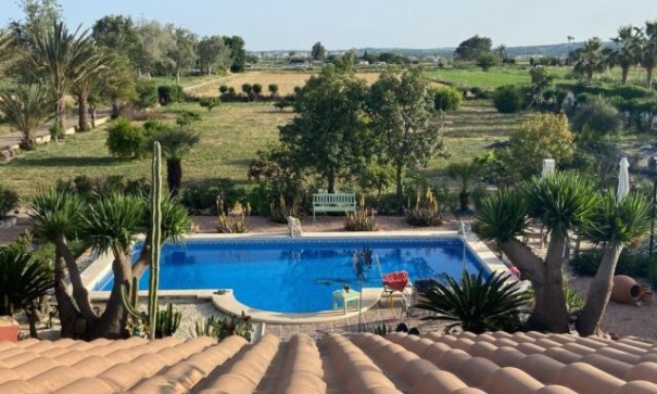 Resale - Freistehende Villa -
Daya Vieja