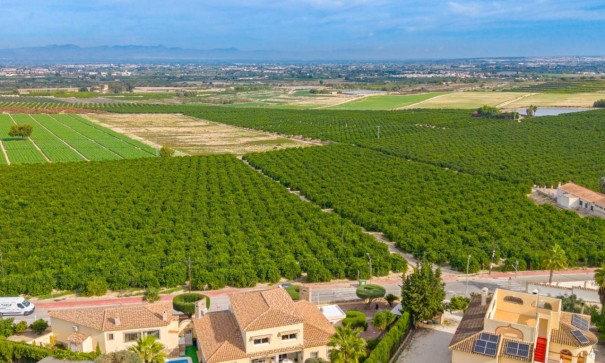 Sprzedaż - Willa wolnostojąca -
Algorfa - Castillo de montemar