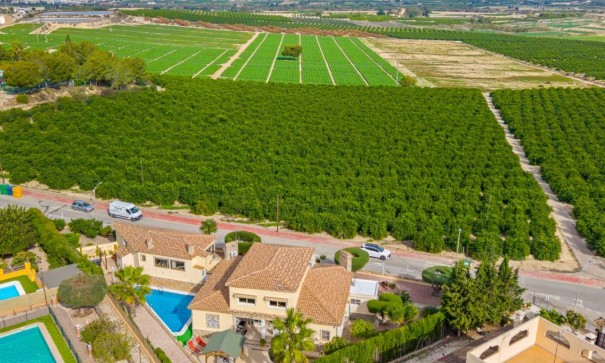 Sprzedaż - Willa wolnostojąca -
Algorfa - Castillo de montemar