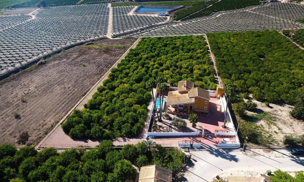 Venta - Finca Propiedad rural -
Orihuela