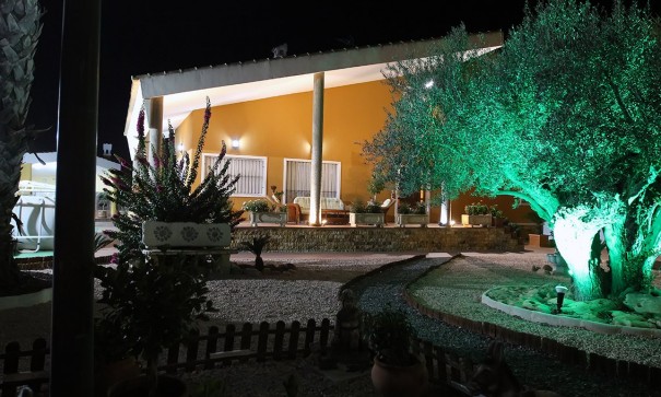 Venta - Finca Propiedad rural -
Orihuela