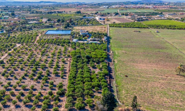 Återförsäljning - Finca lantlig egendom -
Los Montesinos