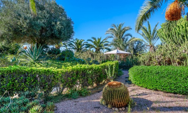 Återförsäljning - Finca lantlig egendom -
Los Montesinos