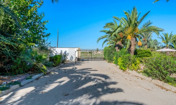 Återförsäljning - Finca lantlig egendom -
Los Montesinos