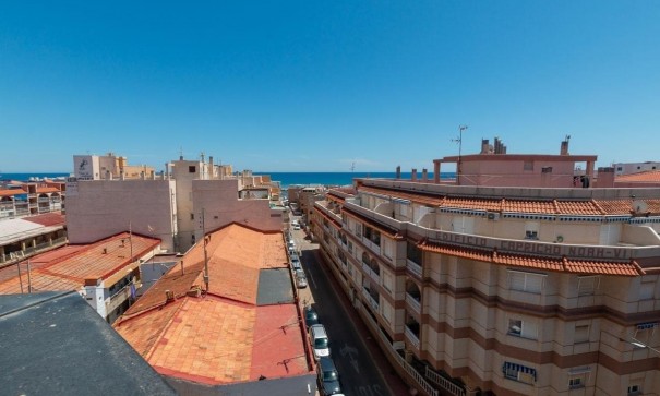 Sprzedaż - Apartament mieszkanie -
La Mata - La Mata - Town