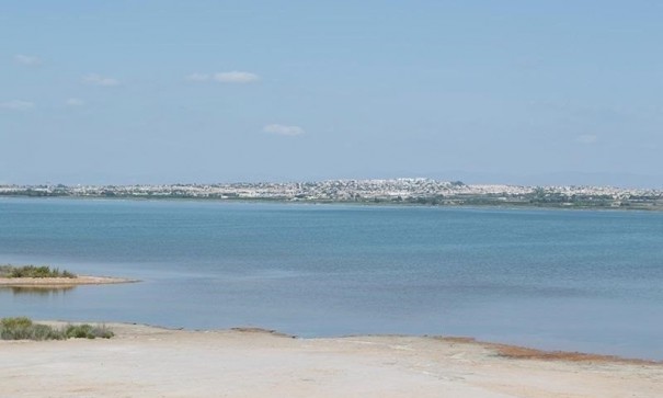 Sprzedaż - Apartament mieszkanie -
La Mata - La Mata - Town