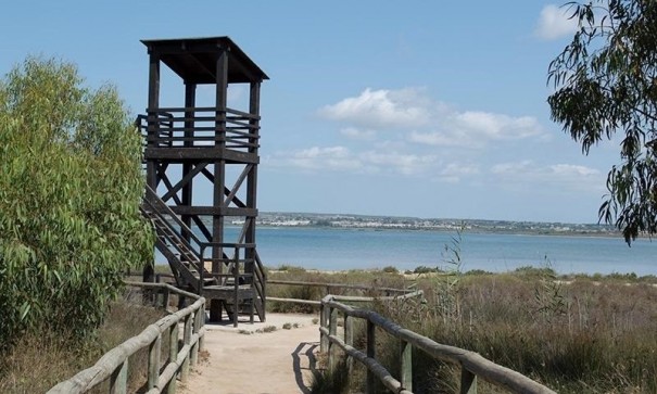 Sprzedaż - Apartament mieszkanie -
La Mata - La Mata - Town