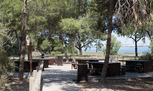 Sprzedaż - Apartament mieszkanie -
La Mata - La Mata - Town