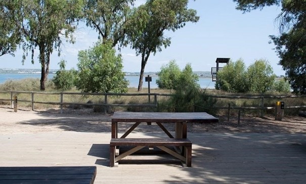 Sprzedaż - Apartament mieszkanie -
La Mata - La Mata - Town