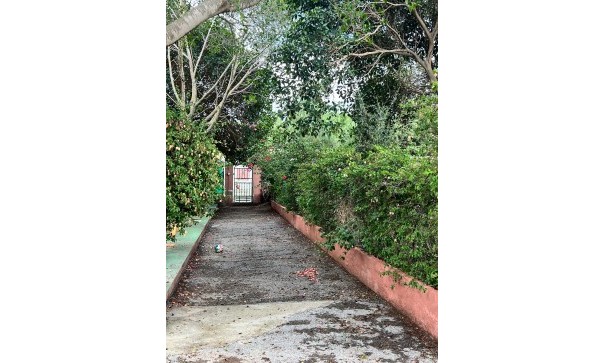 Sprzedaż - Finca nieruchomość wiejska -
Torrevieja