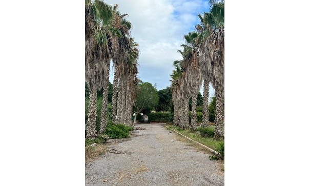 Sprzedaż - Finca nieruchomość wiejska -
Torrevieja