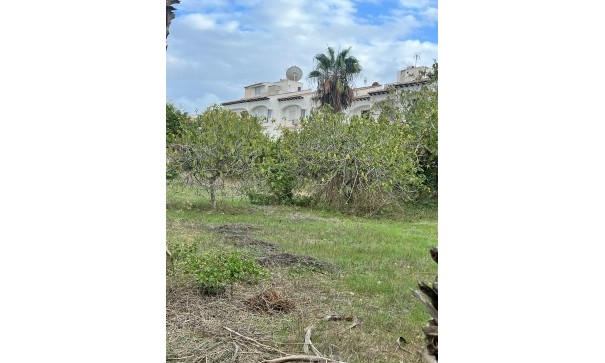 Sprzedaż - Finca nieruchomość wiejska -
Torrevieja