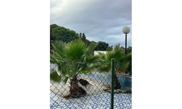 Sprzedaż - Finca nieruchomość wiejska -
Torrevieja