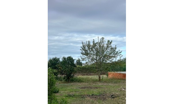 Sprzedaż - Finca nieruchomość wiejska -
Torrevieja